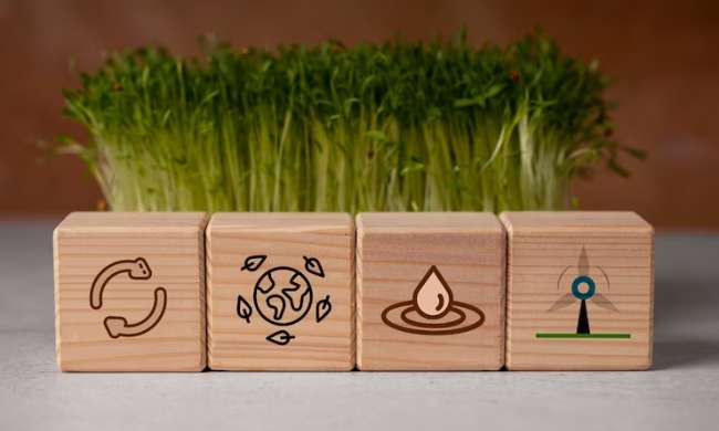 sustainability & green industry