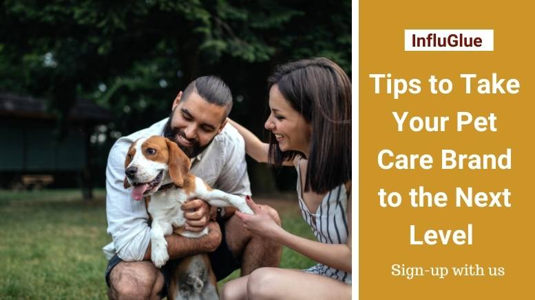pet-influencers-in-canada