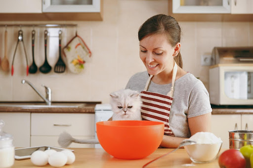 pet-influencers-in-canada